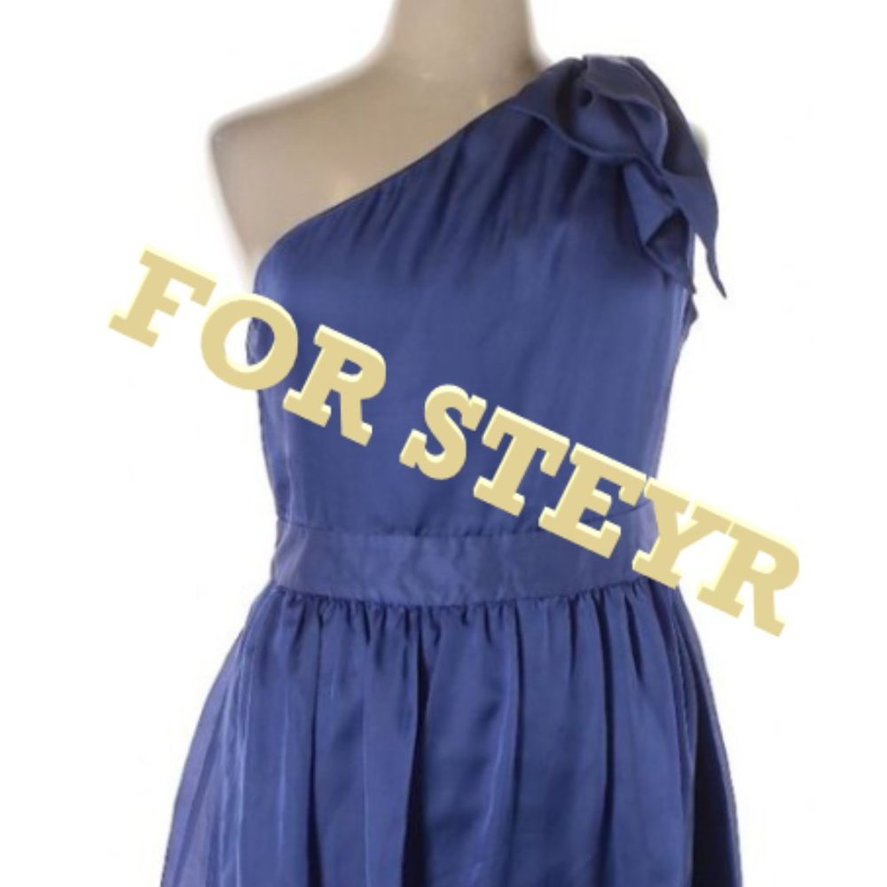 Blue Dress for Steyr
